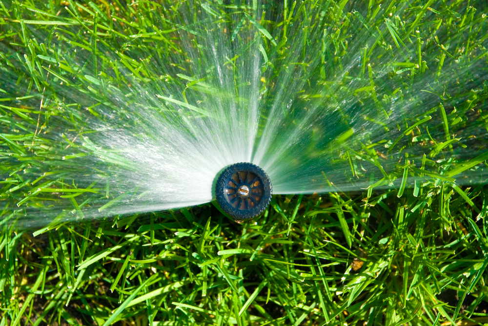 Best Plumbing Tips To Help With Underground Irrigation For Gardens